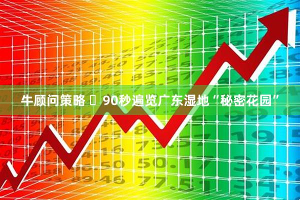 牛顾问策略 ​90秒遍览广东湿地“秘密花园”
