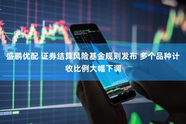 盛鹏优配 证券结算风险基金规则发布 多个品种计收比例大幅下调
