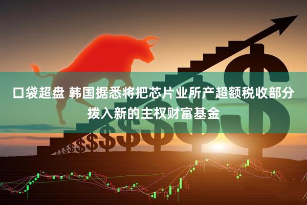 口袋超盘 韩国据悉将把芯片业所产超额税收部分拨入新的主权财富基金