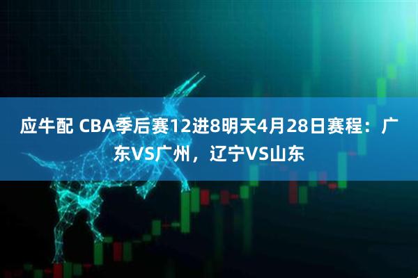 应牛配 CBA季后赛12进8明天4月28日赛程：广东VS广州，辽宁VS山东